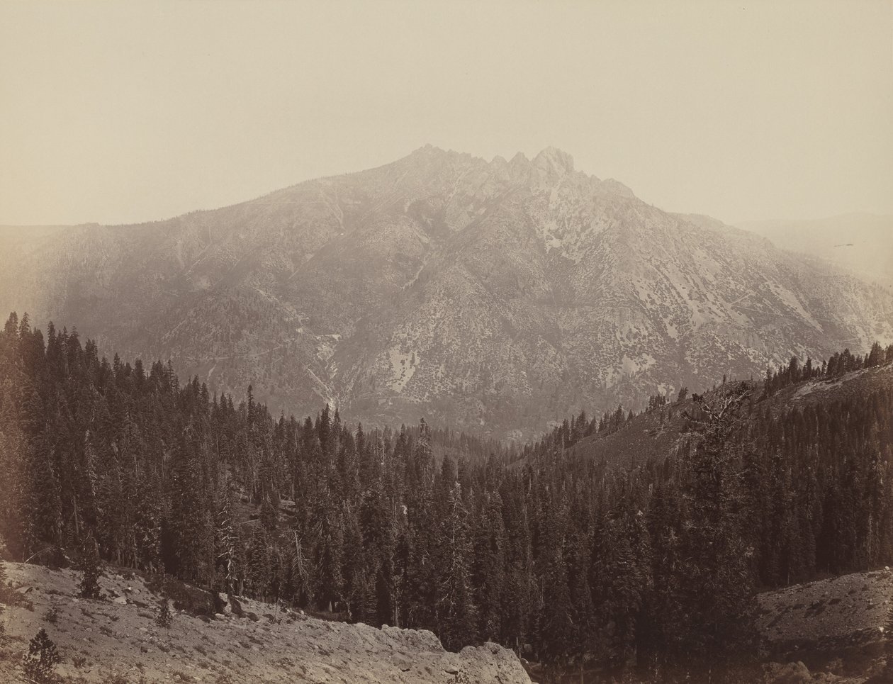  by Carleton Emmons Watkins