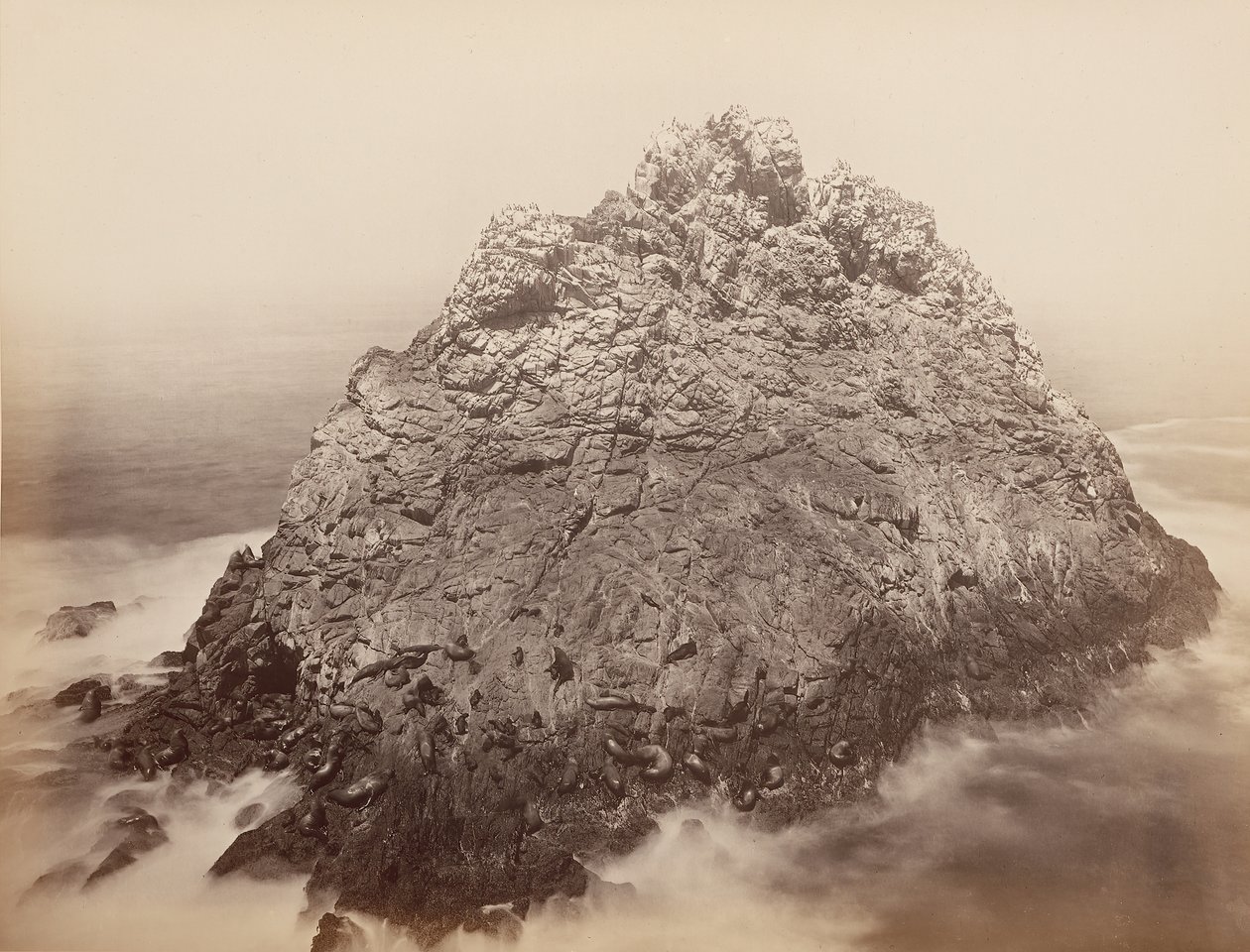 Sugar Loaf Adaları, Farallons, 1868-69. by Carleton Emmons Watkins