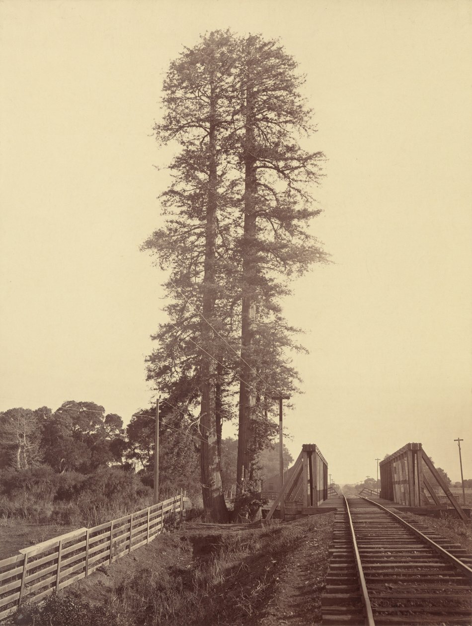  by Carleton Emmons Watkins