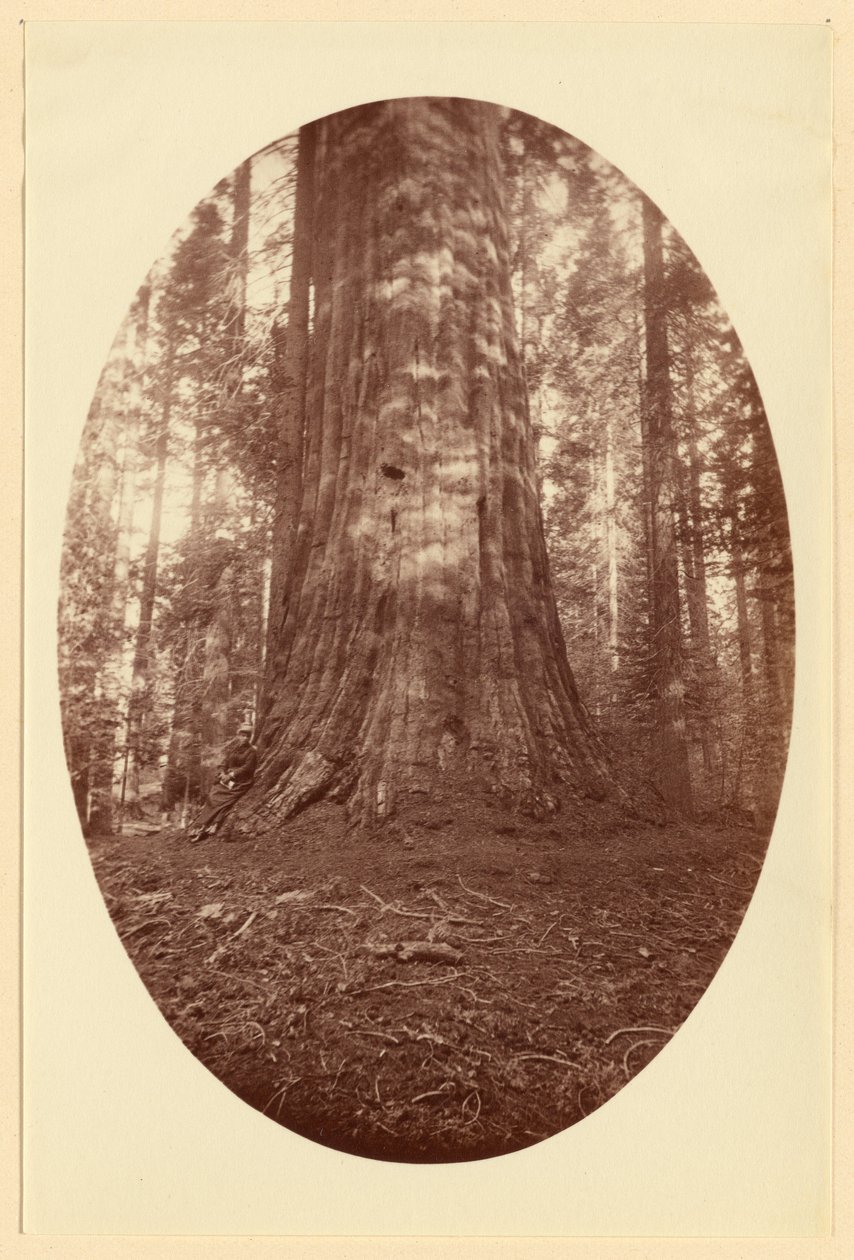  by Carleton Watkins