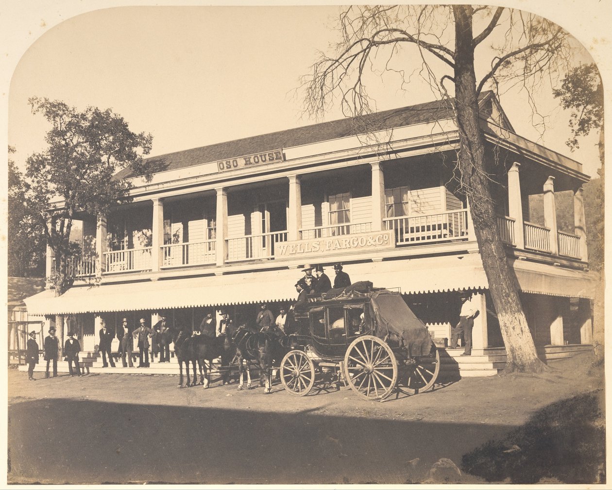 Oso Evi by Carleton Watkins