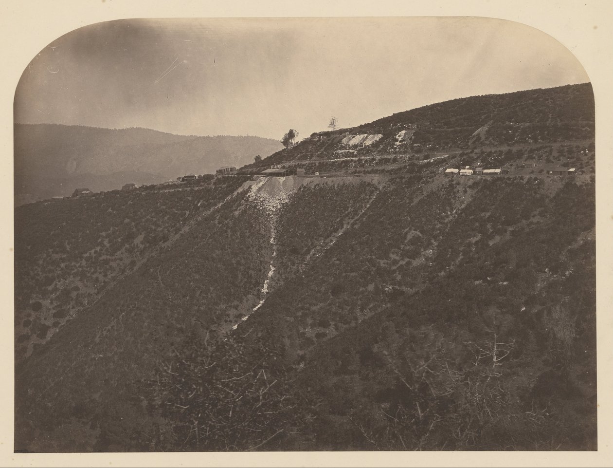 Çam Ağacı Madeni by Carleton Watkins