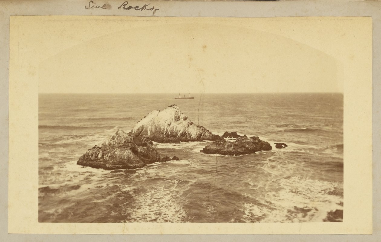  by Carleton Watkins