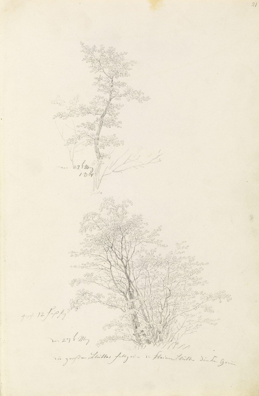  by Caspar David Friedrich