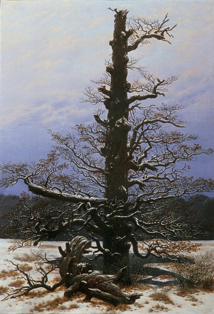 Karda Meşe Ağacı by Caspar David Friedrich