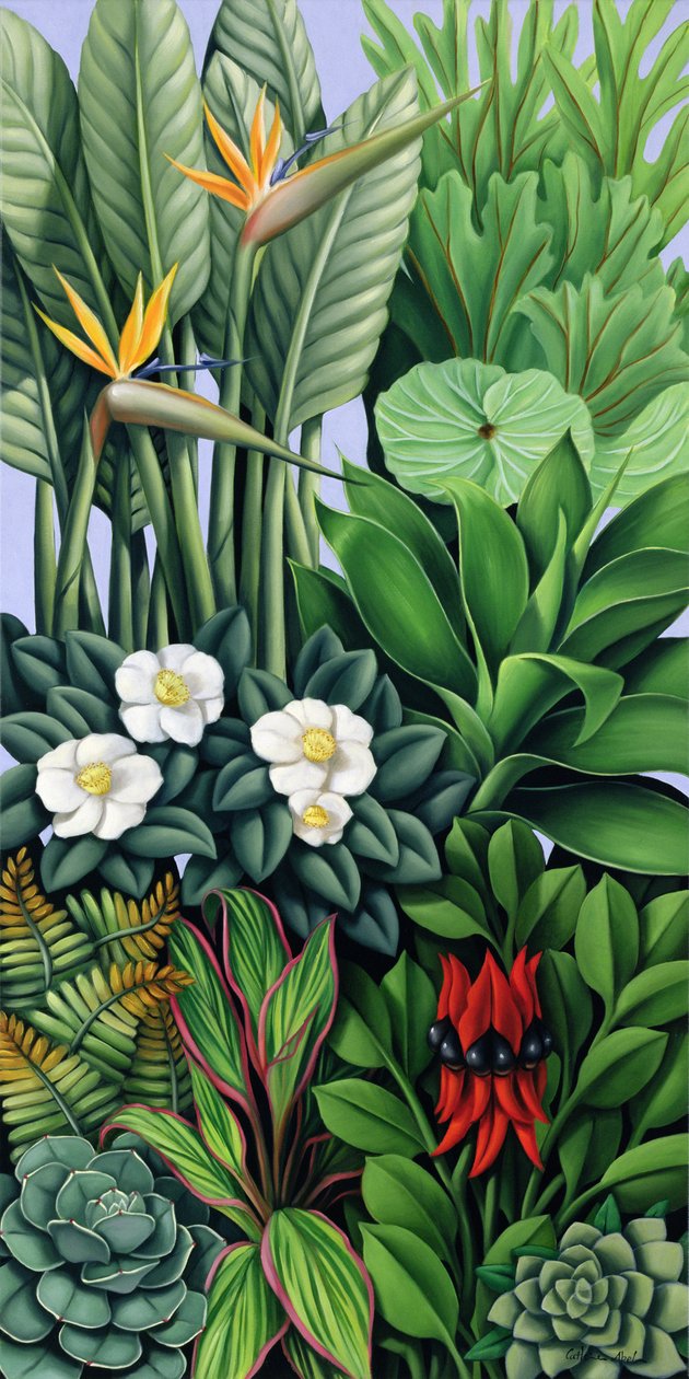 Yeşillik II by Catherine Abel