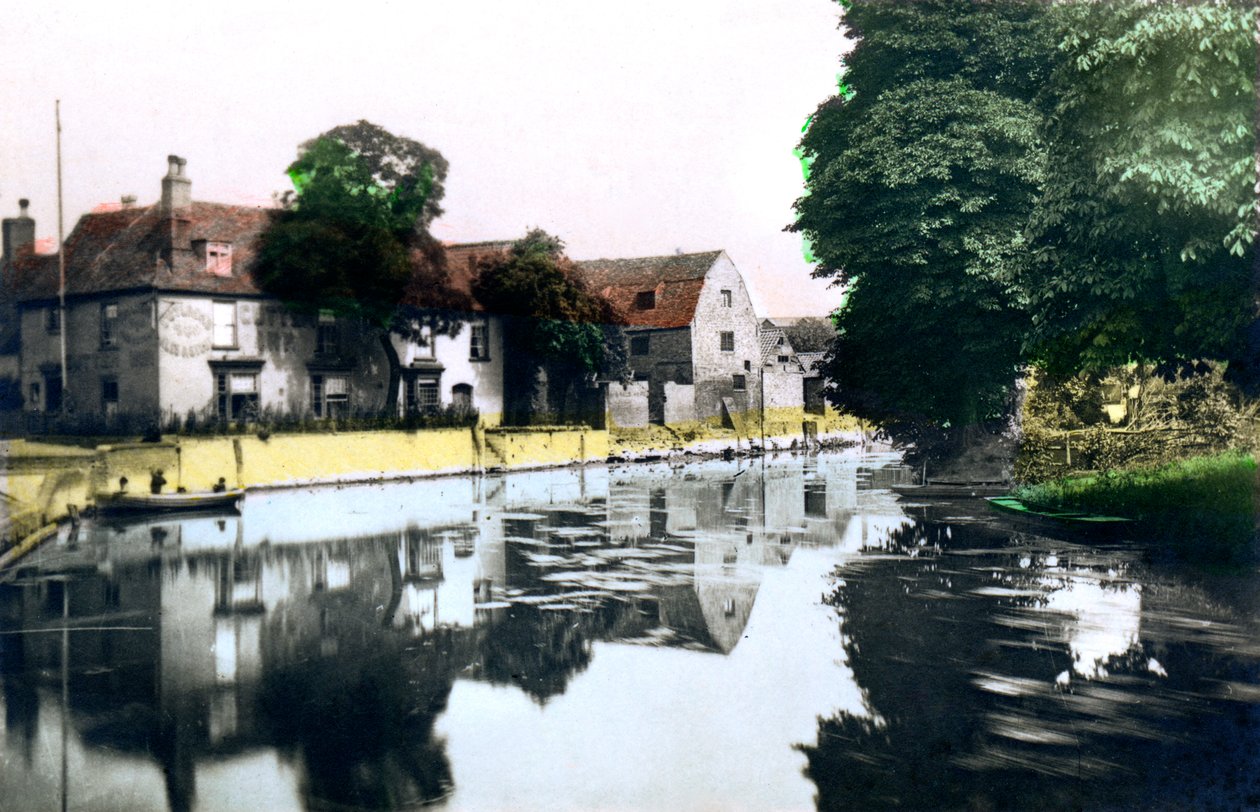 Ely