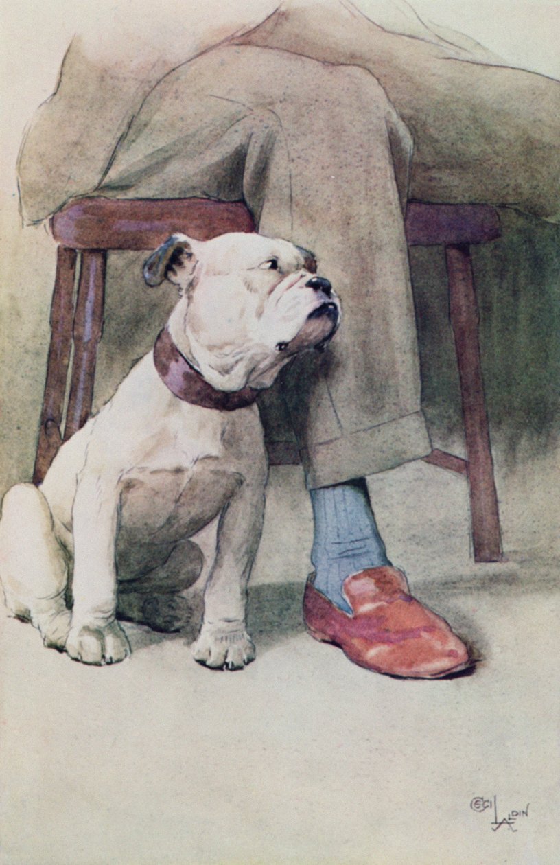 Bulldog (kalem ve mürekkep ve kağıt üzerinde yıkayın) by Cecil Charles Windsor Aldin