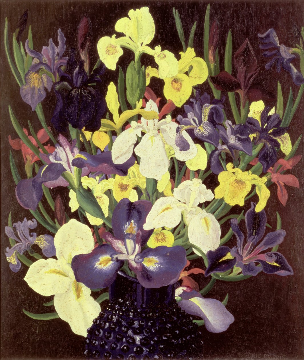 Süsen Grubu, c.1940 by Cedric Morris