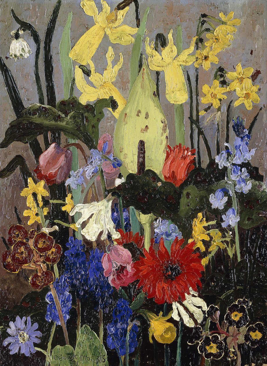 Bahar çiçekleri by Cedric Morris