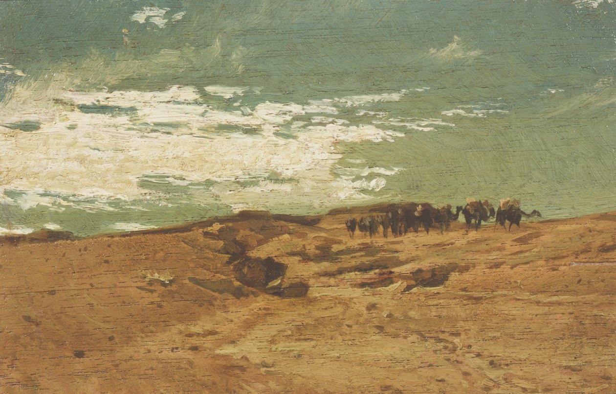 Çölde Karavan by Cesare Biseo