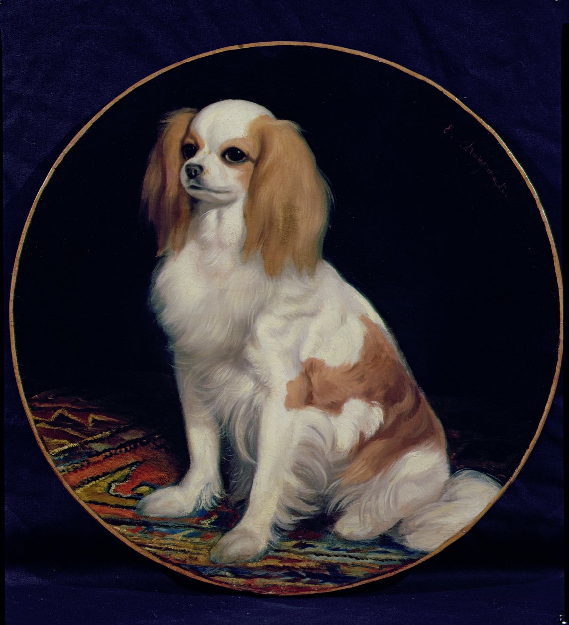 Kral Charles İspanyol by Charles Emile Callande de Champmartin