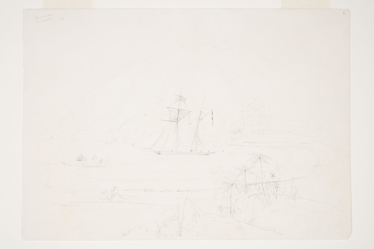 Yassı Balık Koyu Q.C. Ses by Charles Heaphy