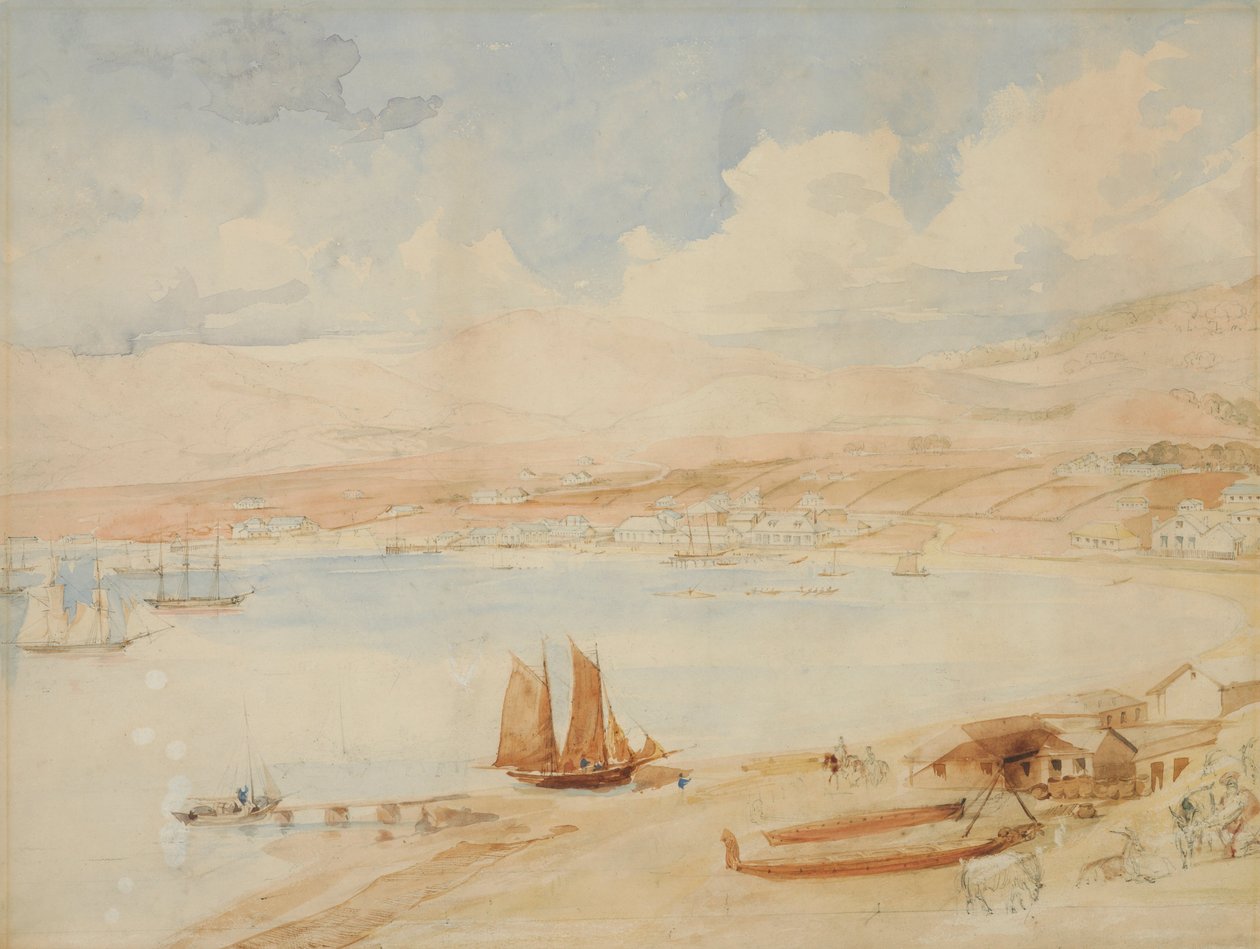 Wellington Limanı, N.Z. by Charles Heaphy