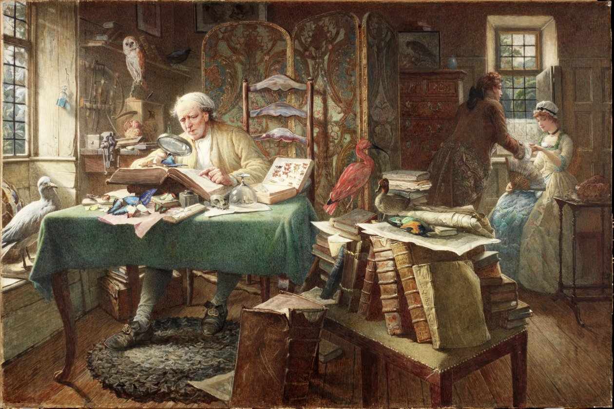 Kurtçuklar ve Kelebekler (kağıt üzerine sulu boya) by Charles J. Staniland