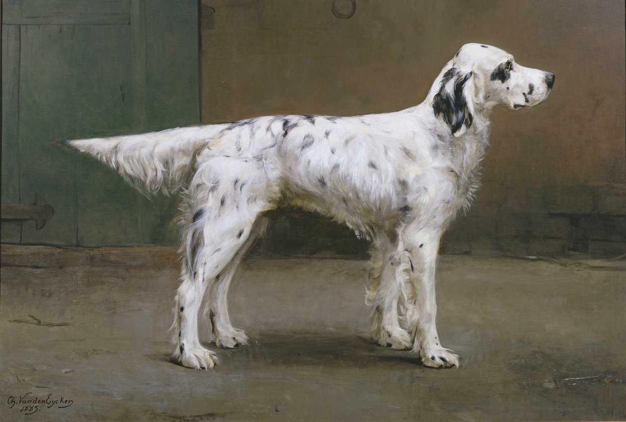 Bir köpeğin portresi, 1885 (378730'a çift) by Charles van den Eycken