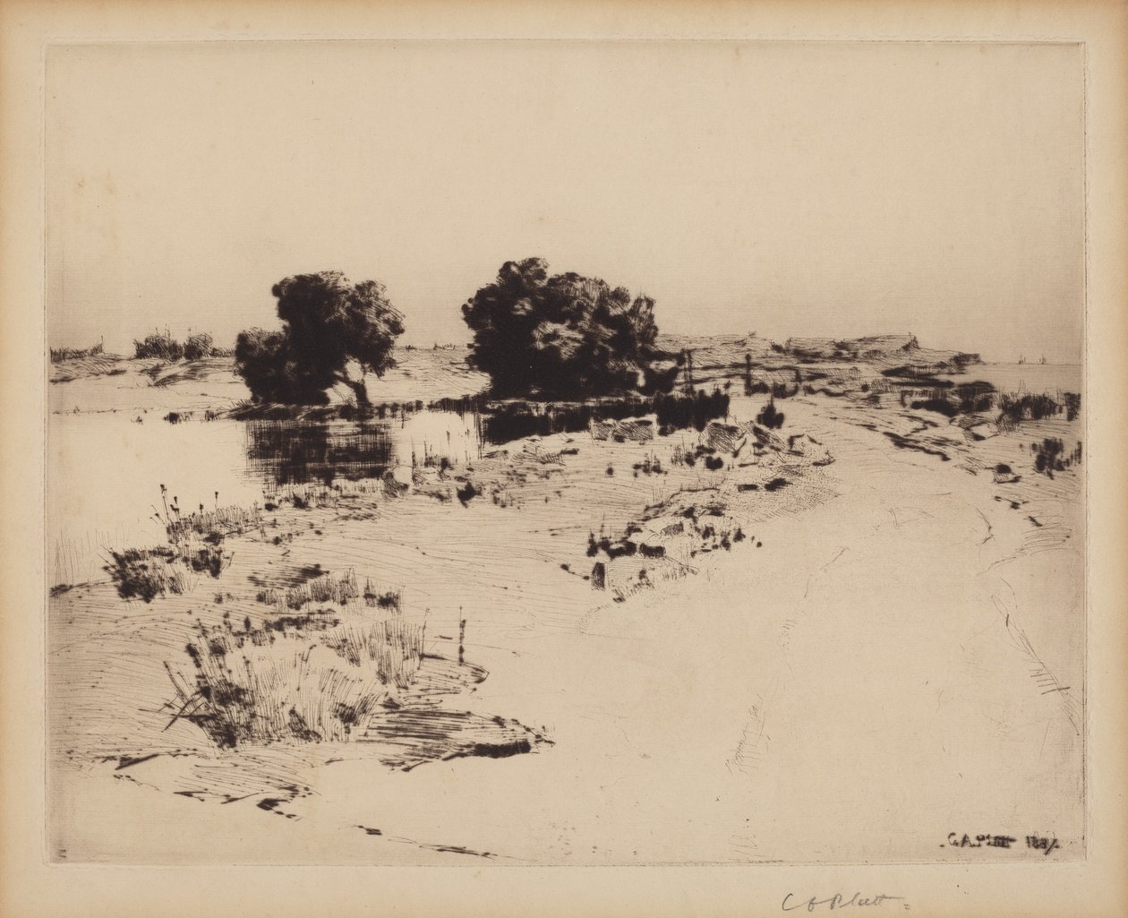 Cape Ann Willows by Charles A. Platt