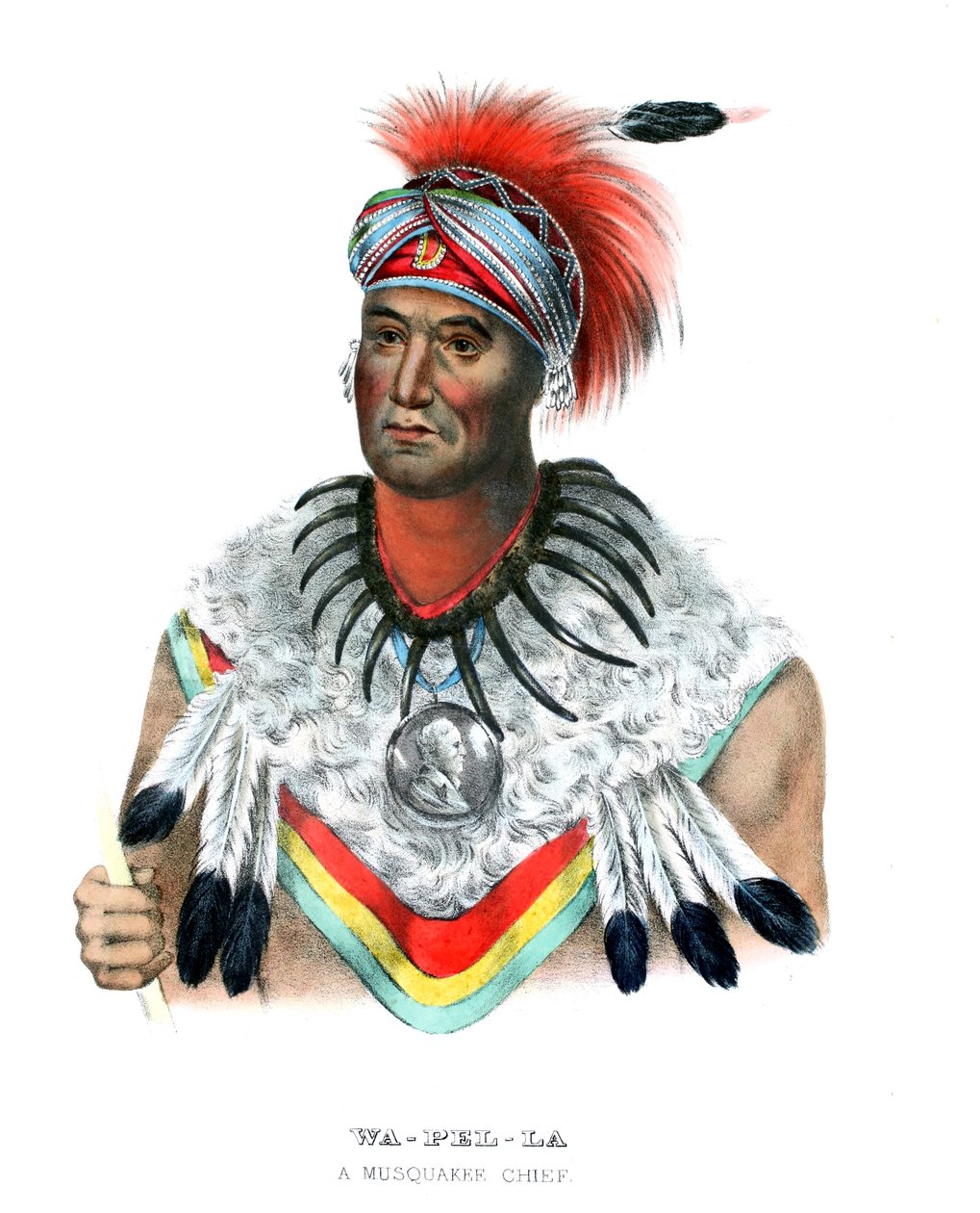 wapella by Charles Bird (after) King