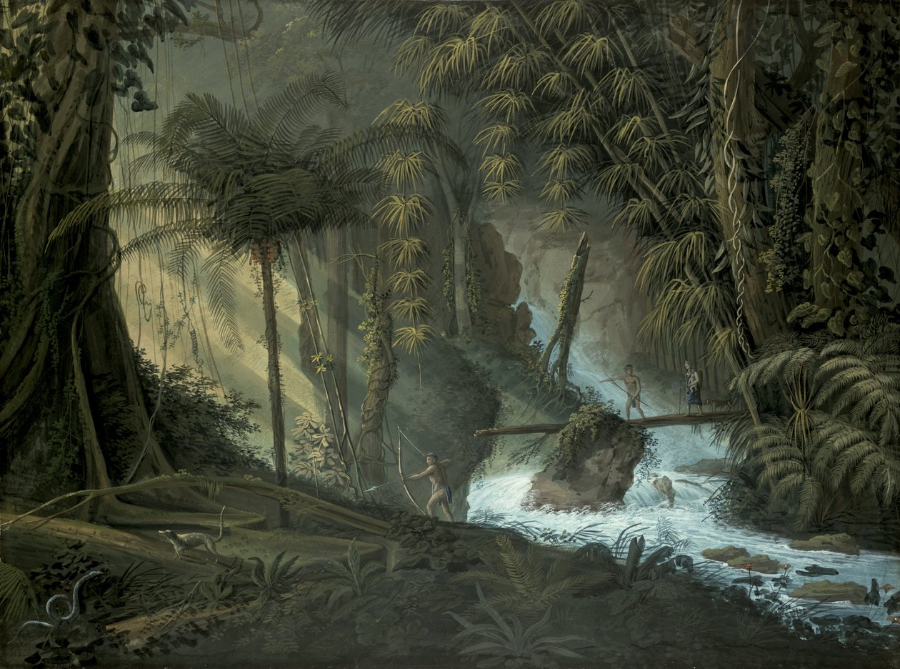 Brezilya Ormanı by Charles Comte de Clarac