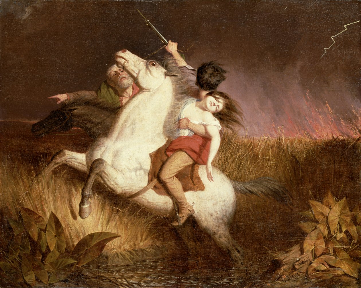 Çayır Ateşi by Charles Deas
