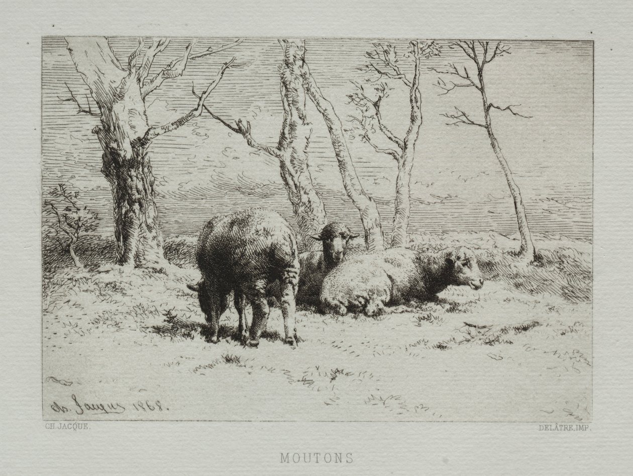 Koyun, 1868. by Charles Emile Jacque