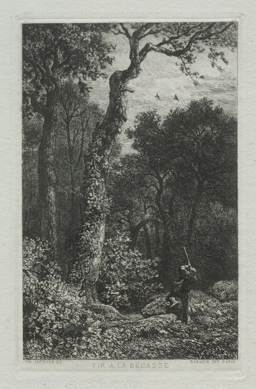 Woodcock