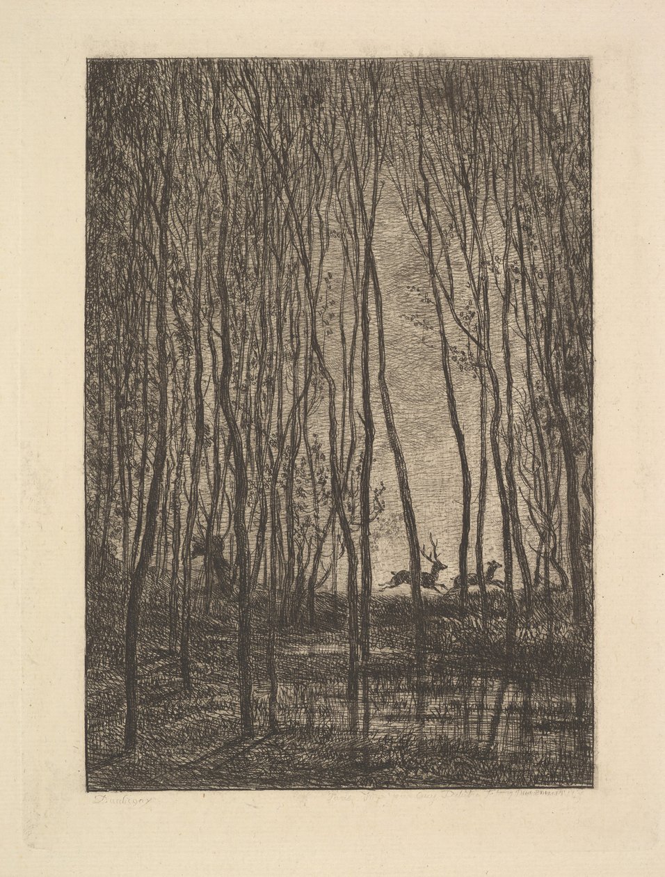 Ormanda Geyik, 1850. by Charles Francois Daubigny