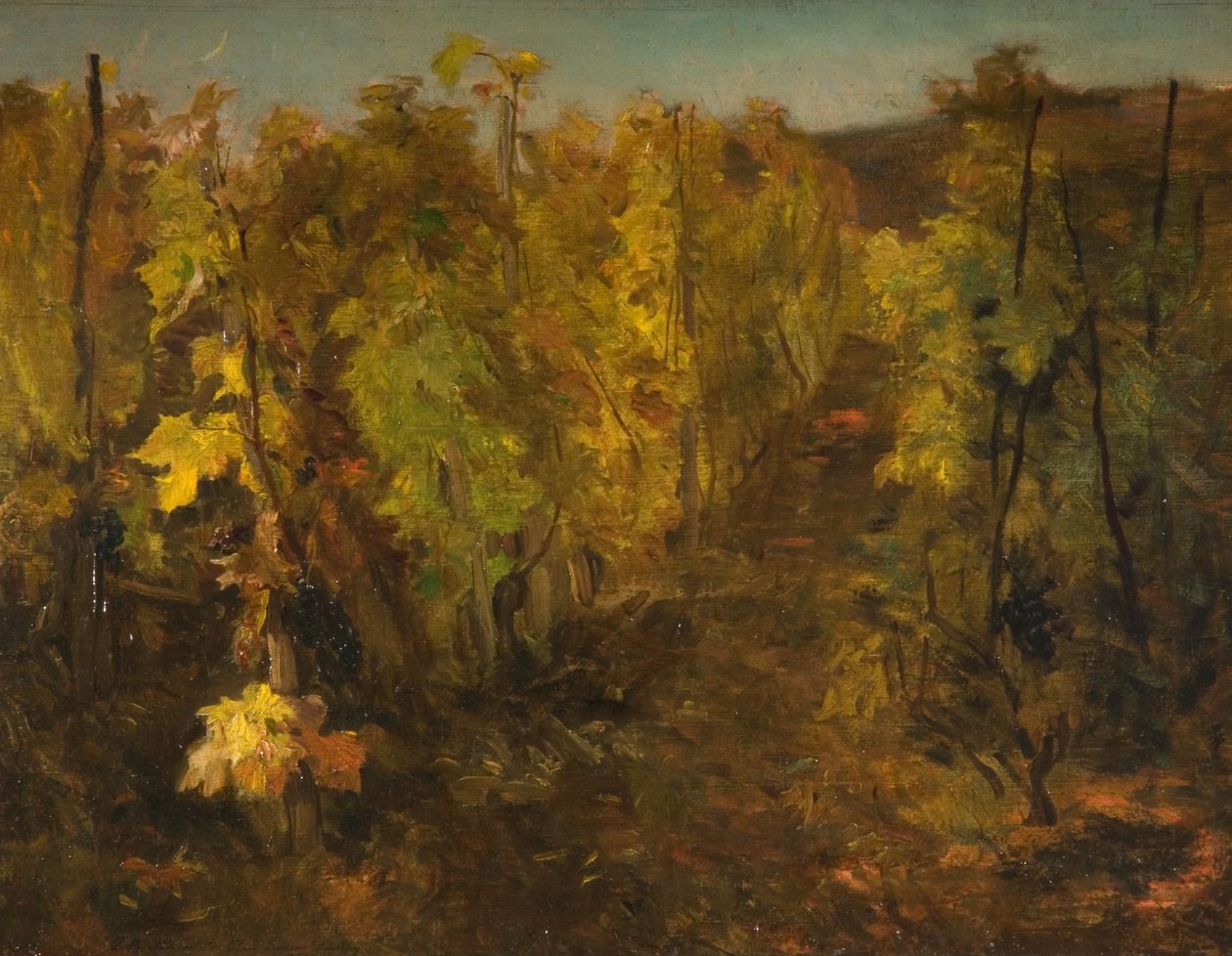 Asma, 1860-1863 by Charles Francois Daubigny