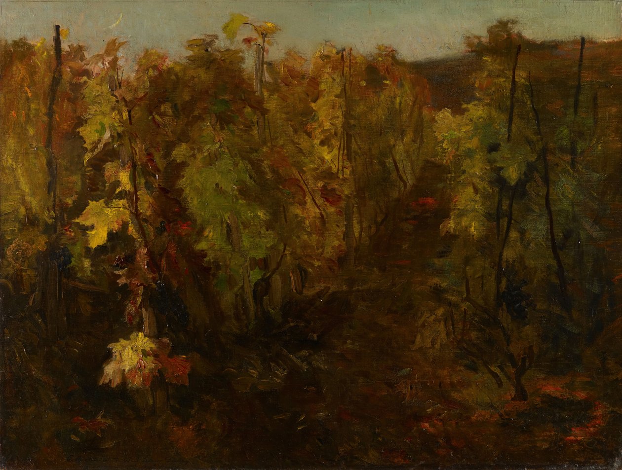 Asma, 1860-1863. by Charles Francois Daubigny