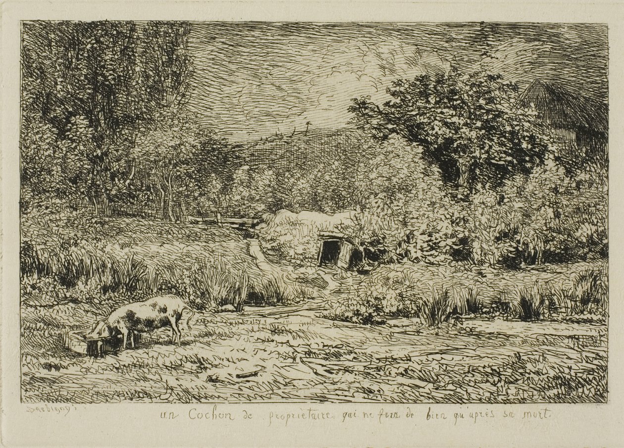 bir meyve bahçesinde domuz by Charles Francois Daubigny