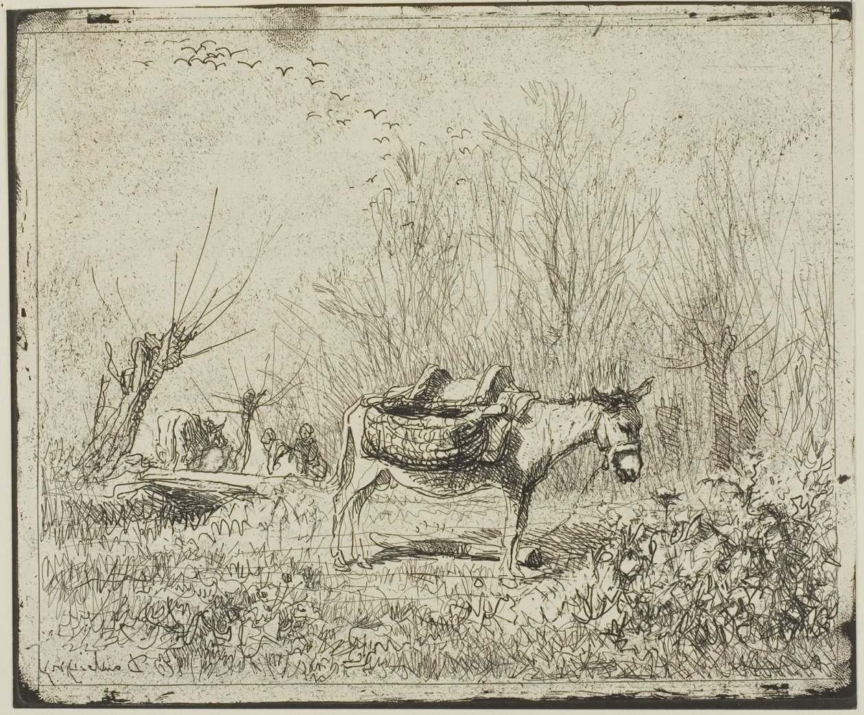 Çayırdaki Eşek by Charles Francois Daubigny