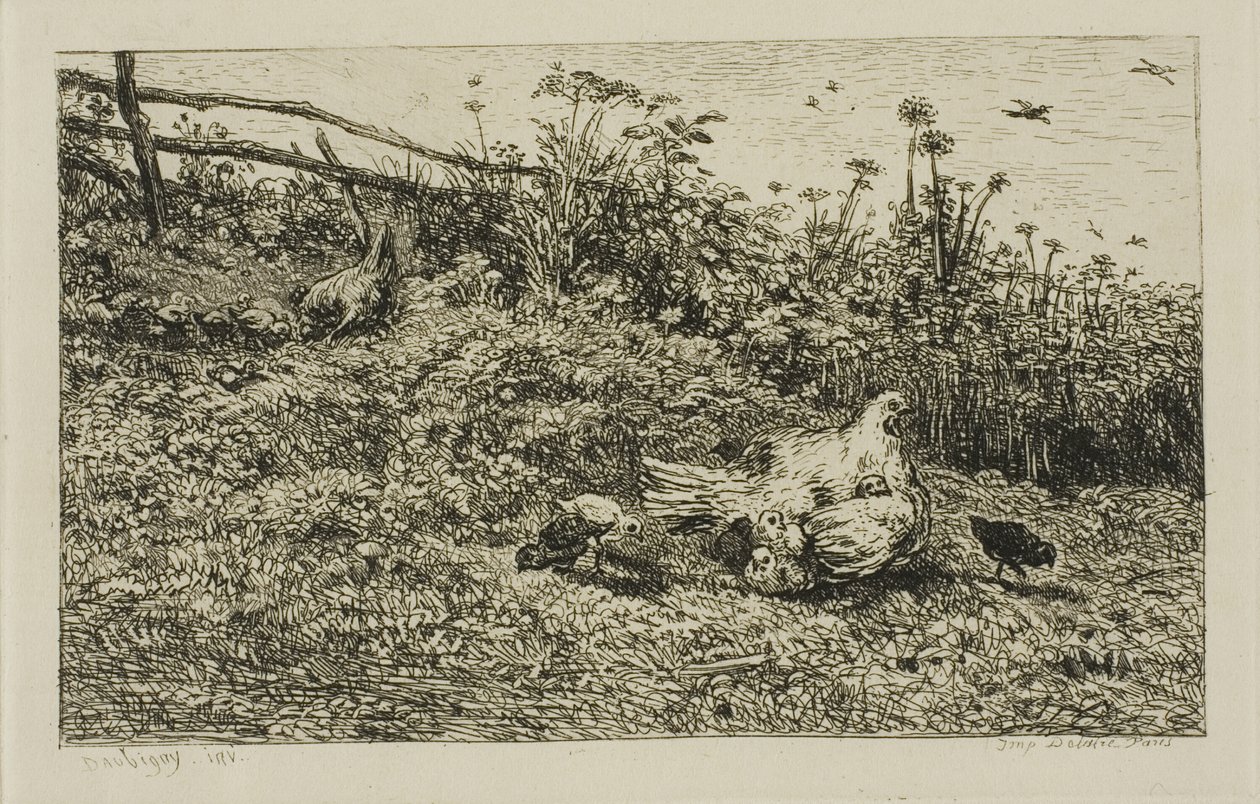Tavuk ve Civcivleri by Charles Francois Daubigny