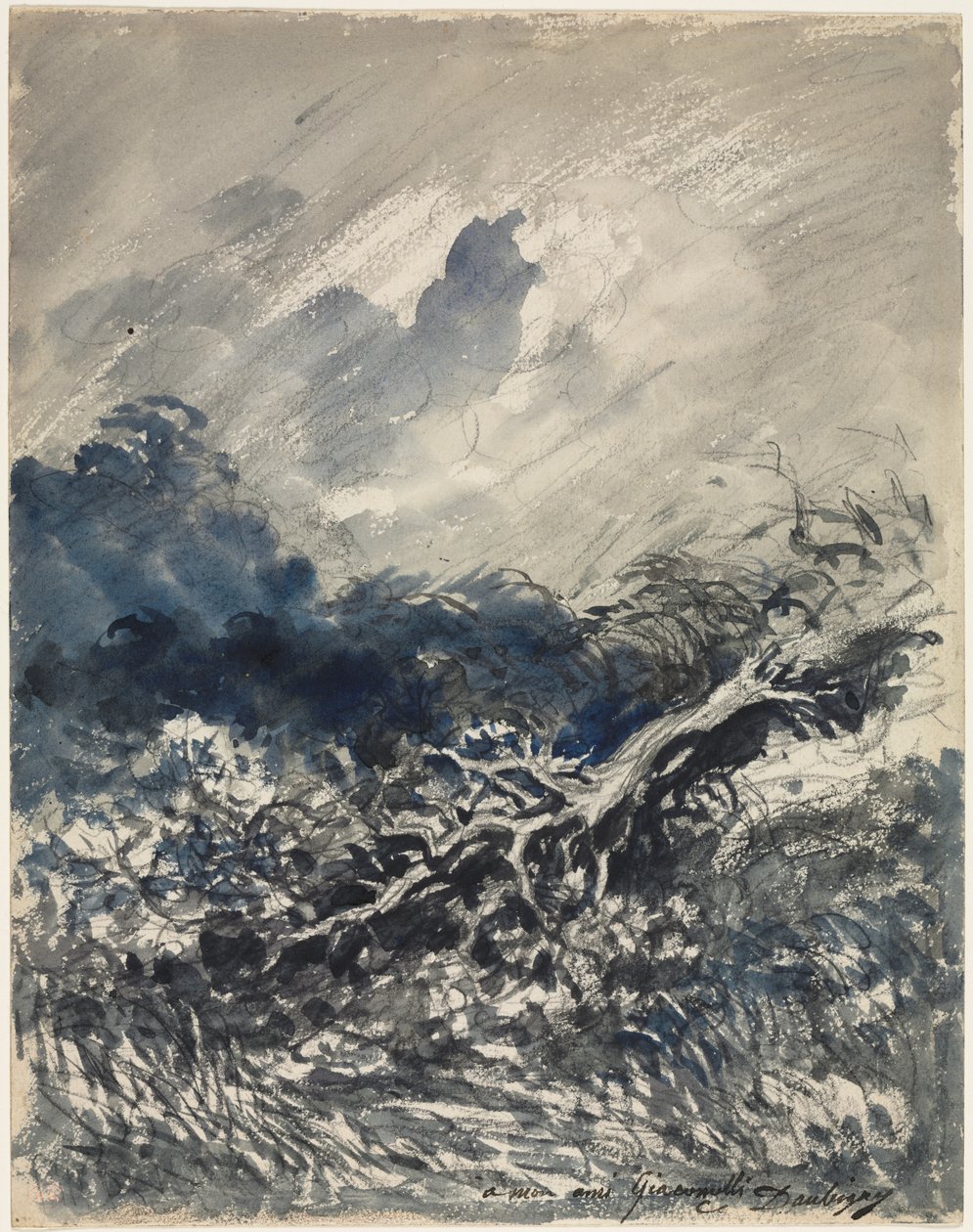 Meşe Ağacı ve Kamış by Charles Francois Daubigny
