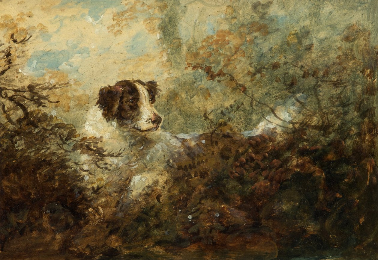 Köpek (gemide yağ) by Charles Henry Schwanfelder