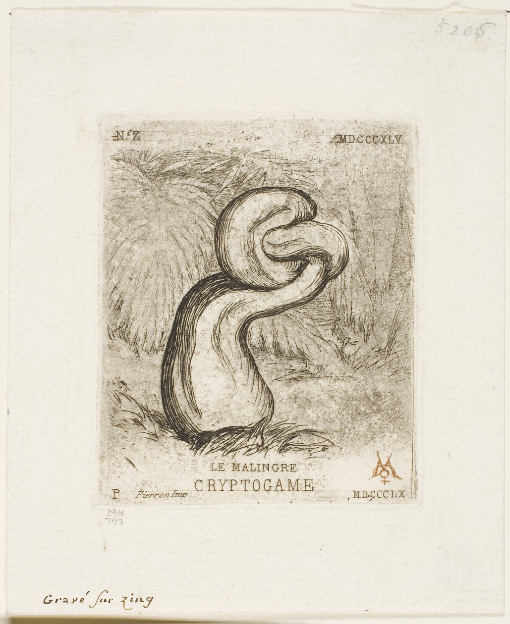 hastalıklı kriptogam by Charles Meryon