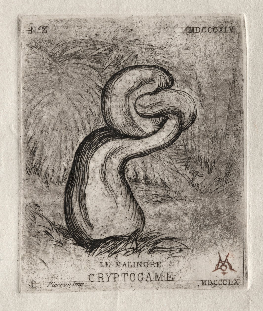 Hastalıklı Kriptogam, 1860. by Charles Meryon