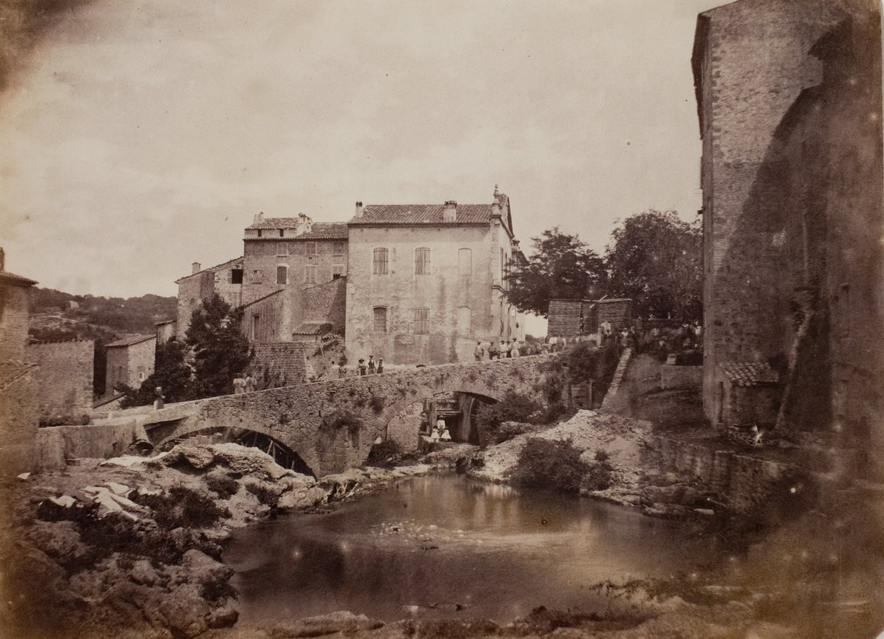 çimen by Charles Nègre