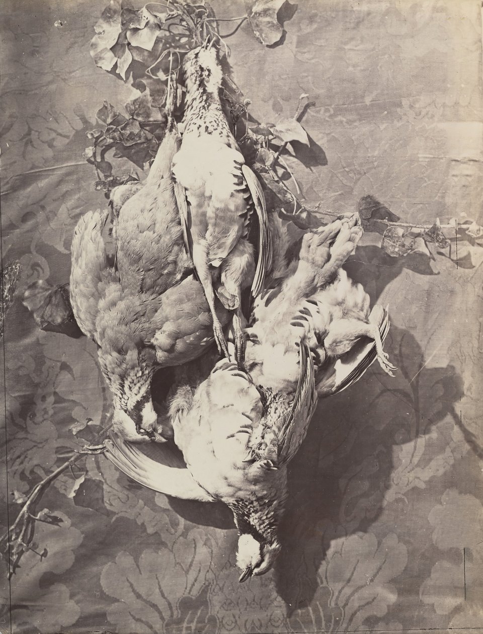 [Oyun Kuşlarıyla Natürmort], 1859. by Charles Nègre
