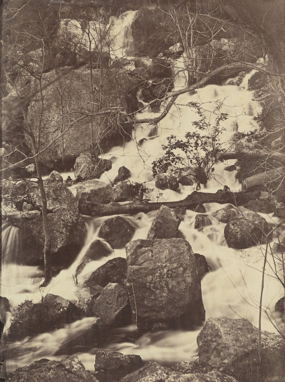 [Ağaçlar ve Şelaleler], 1860-65. by Charles Nègre