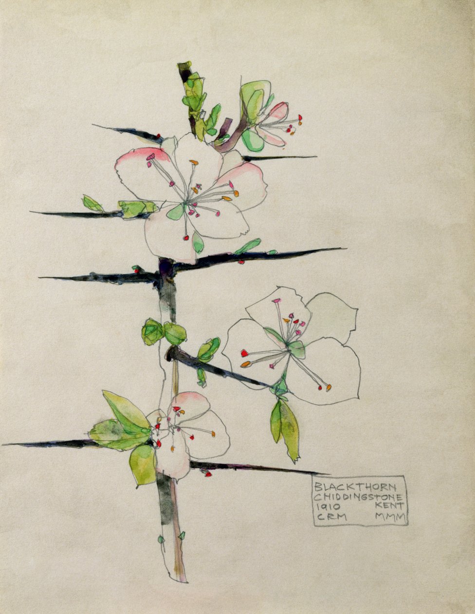 Karaçalı, Chiddingstone, Kent, 1910 (wc) by Charles Rennie Mackintosh