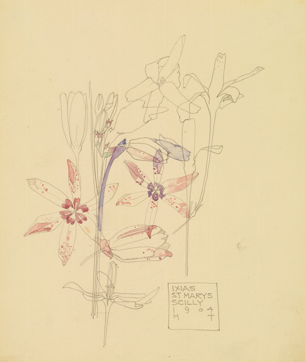 Ixia#39;lar by Charles Rennie Mackintosh