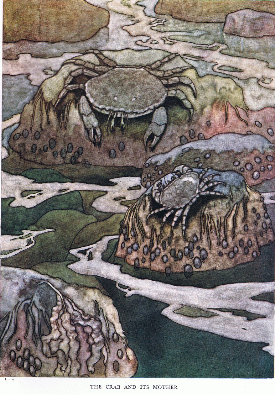Yengeç ve annesi, 1930