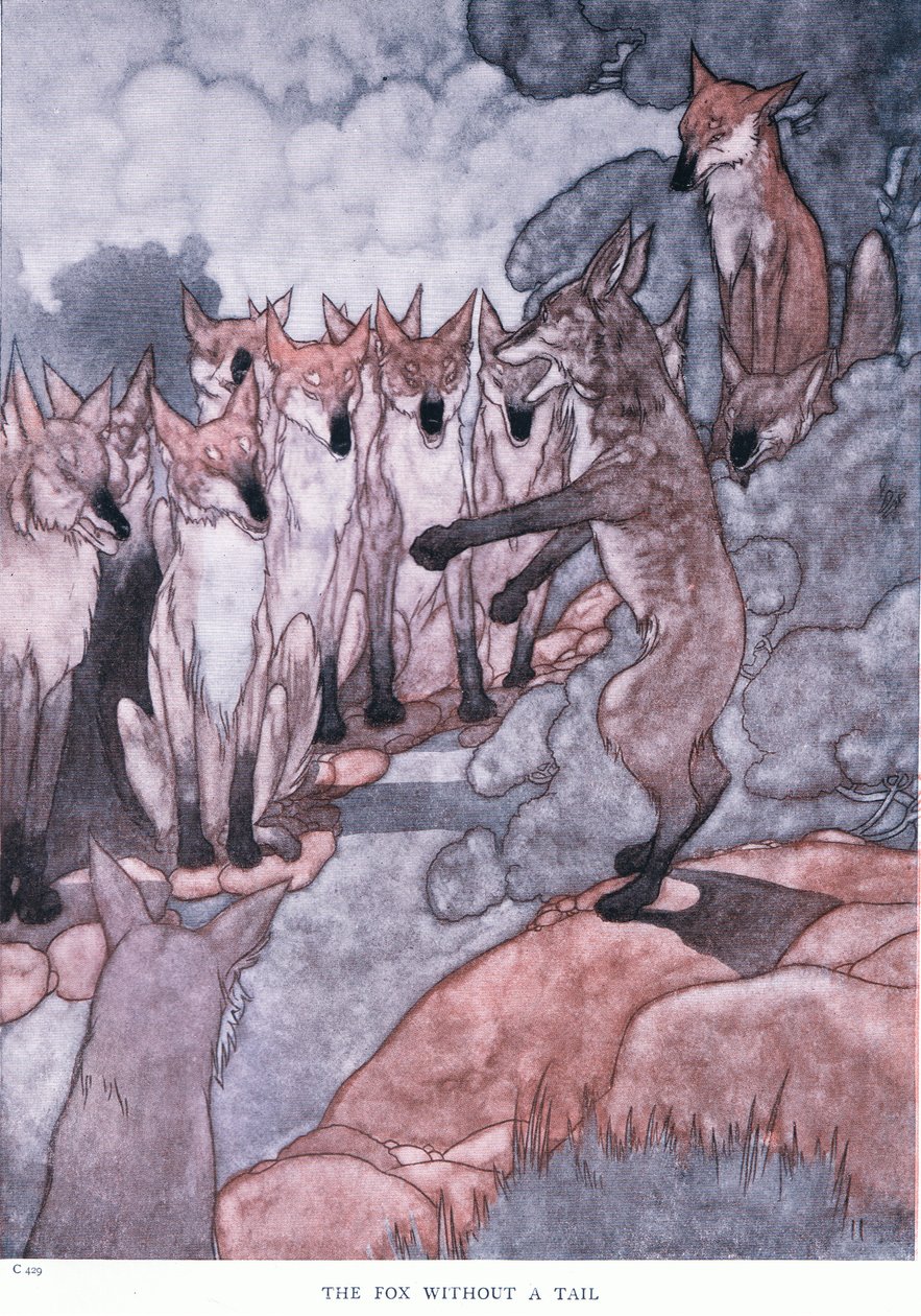 Kuyruğu olmayan tilki, 1930