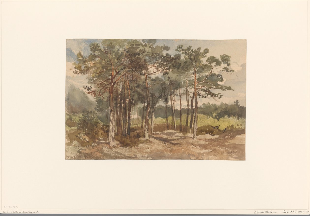 Driebergen yakınlarındaki ormanda ağaç grubu by Charles Rochussen
