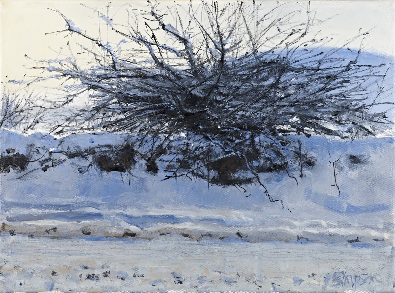  by Charles Simpson