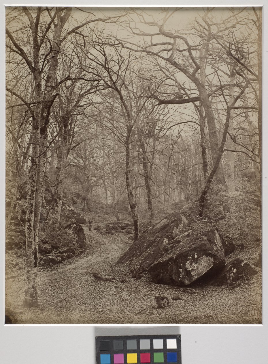 Fontainebleau, c.1870 (albüm baskısı) by Charles Victor Famin