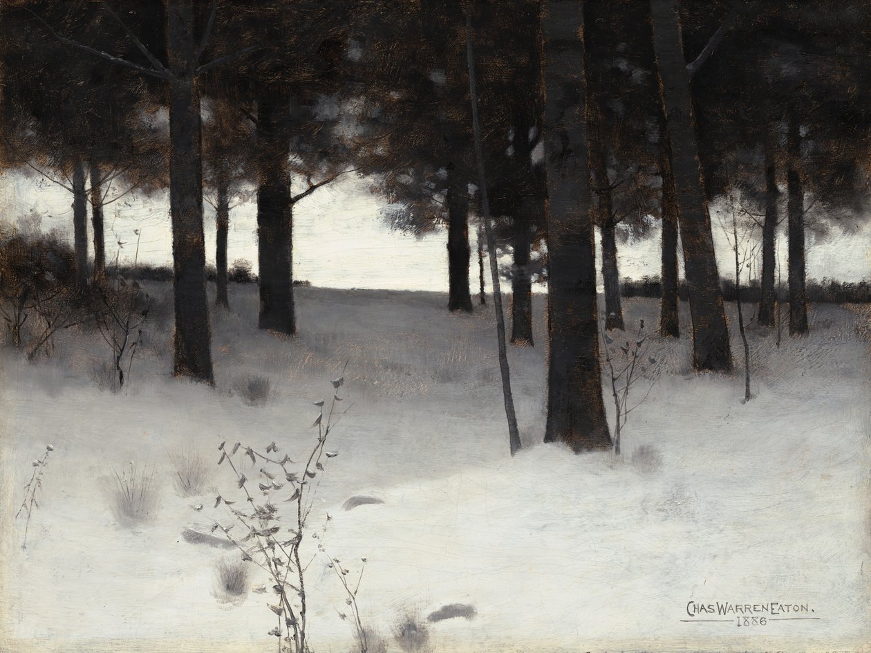 Kışın Orman by Charles Warren Eaton