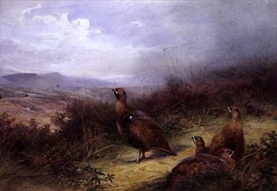 Dağlık Orman Tavuğu by Charles Whymper