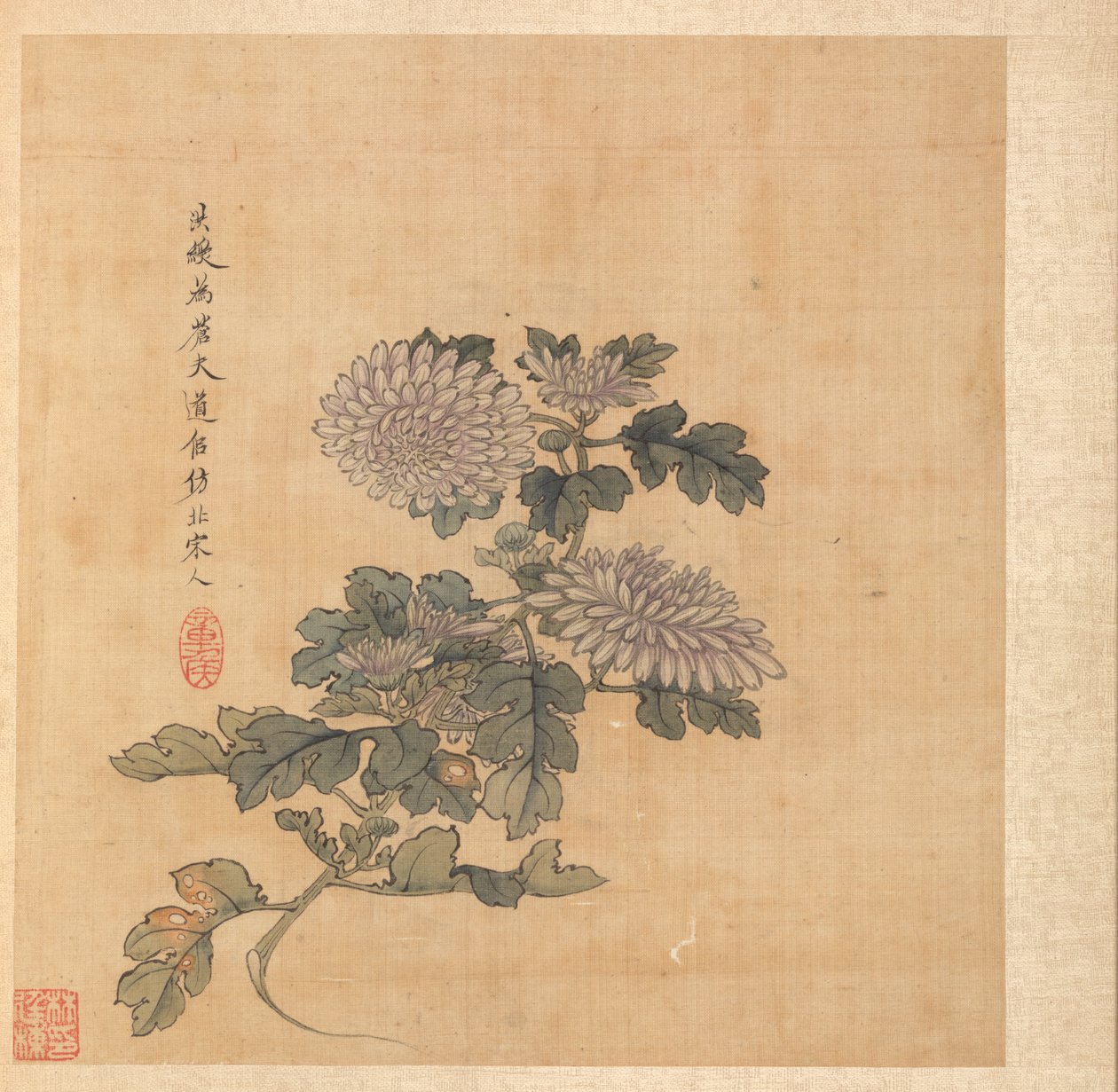 Kadim Ustalardan Sonra Resimler: Krizantem, 1598-1652. by Chen Hongshou