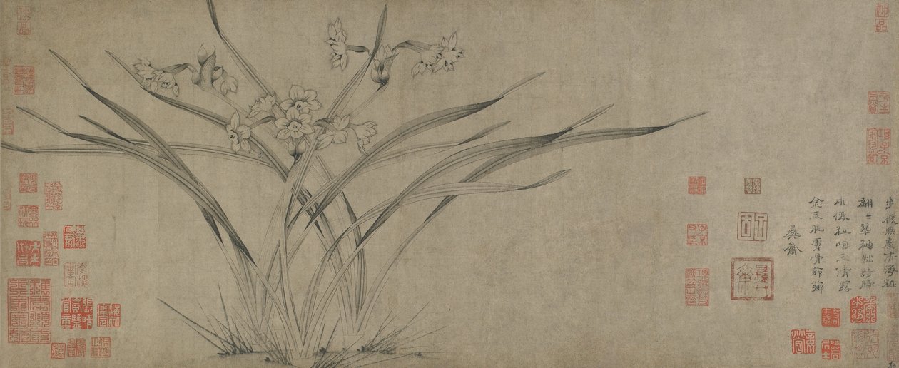 Narcissus, Song Hanedanı (kağıt üzerine mürekkep) by Chinese School